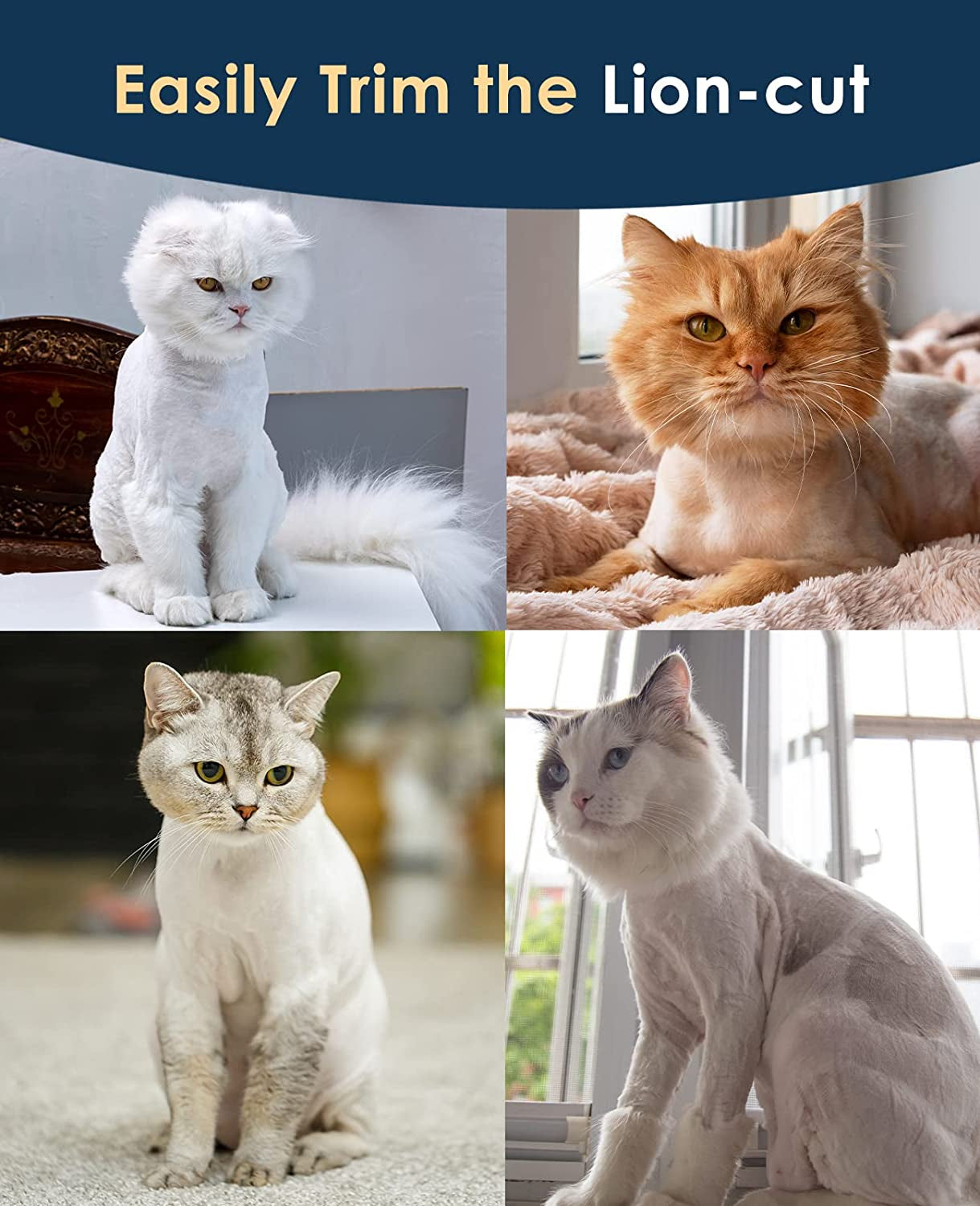 CortaPelus Azul Mascotas | Cortapelos bajo ruido gatos | Máquina cortar pelo gatos | Cortadora inalámbrica mascotas | Corta pelo azul para gatos | Cortapelo silencioso mascotas | Afeitadora pelo largo gatos | Cortapelo recargable felino | Cortapelos 2 velocidades | Corta pelo doméstico gatos
